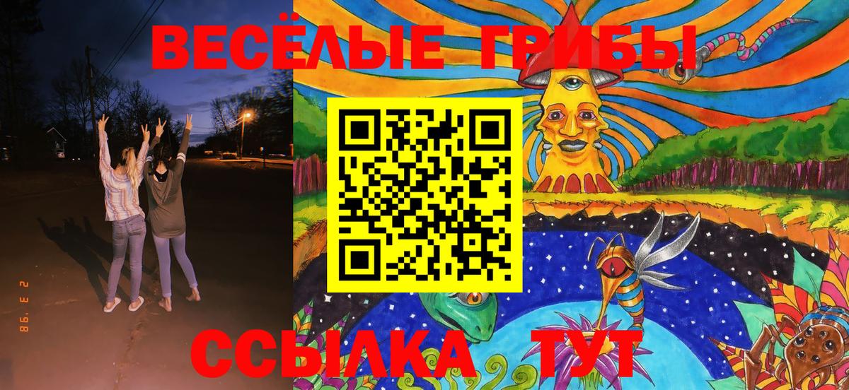 Галлюциногенные грибы Psilocybine cubensis Москва